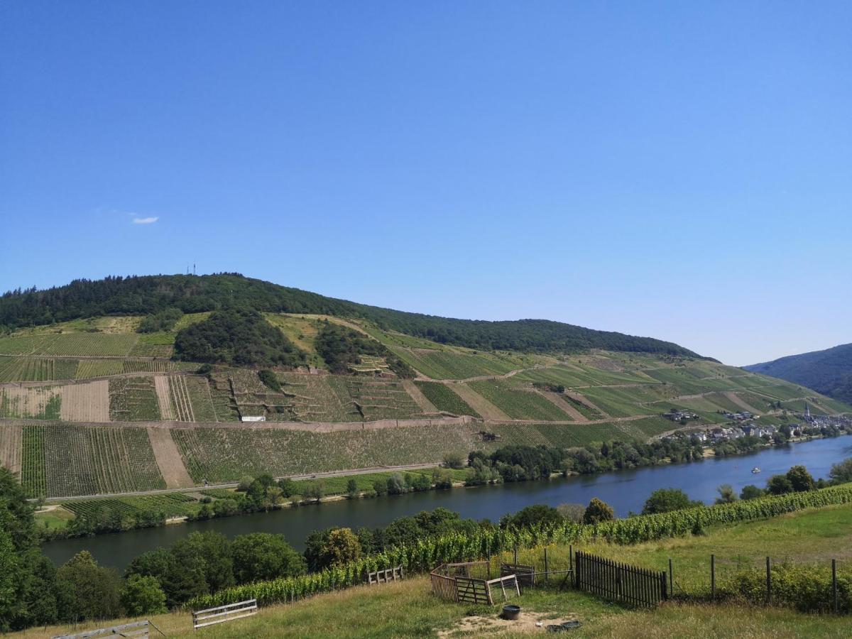 Appartamento Casa Mosella Enkirch Esterno foto