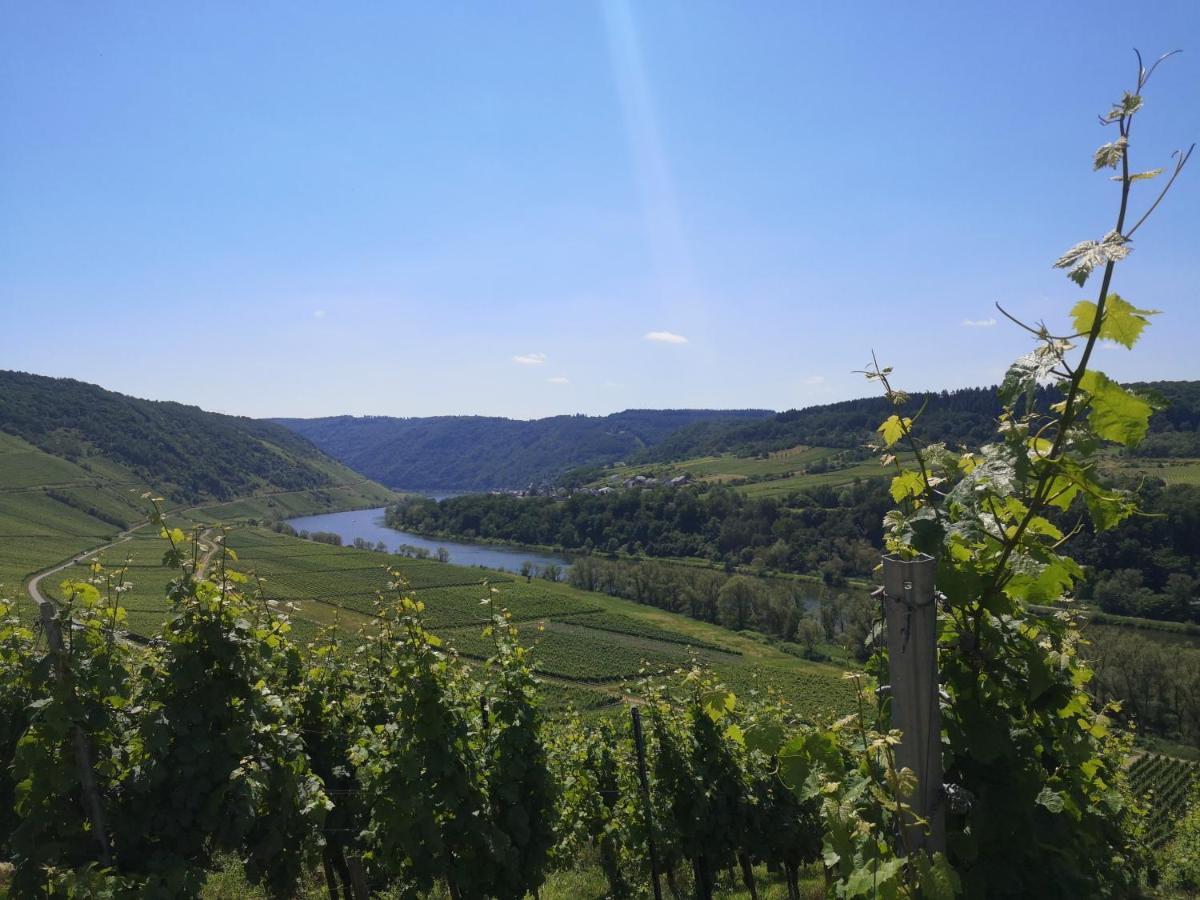 Appartamento Casa Mosella Enkirch Esterno foto